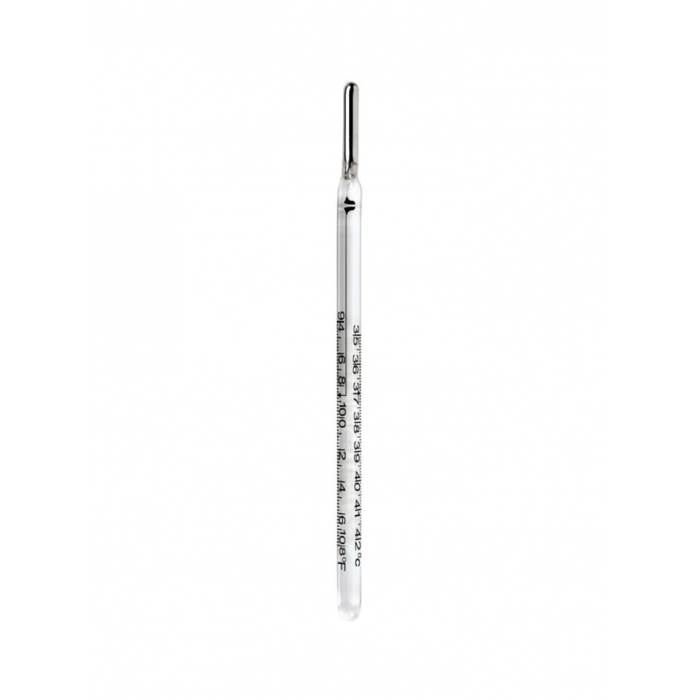 Mercury Thermometer Regular